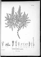  no thumbnail available