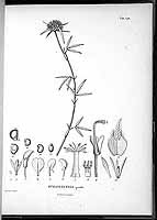  no thumbnail available