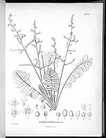  no thumbnail available