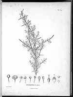  no thumbnail available