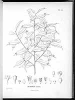  no thumbnail available