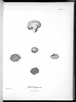  no thumbnail available