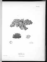  no thumbnail available