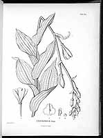  no thumbnail available