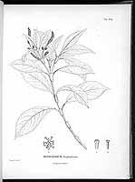  no thumbnail available