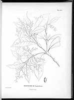  no thumbnail available