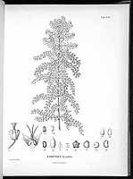  no thumbnail available