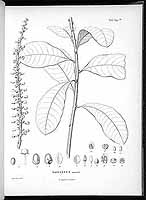  no thumbnail available