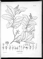  no thumbnail available