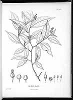  no thumbnail available