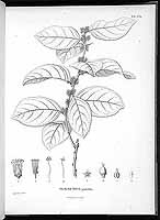  no thumbnail available