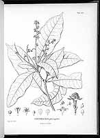  no thumbnail available