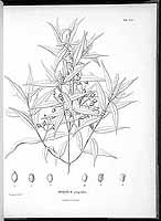  no thumbnail available