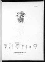  no thumbnail available