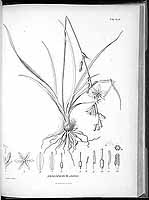  no thumbnail available