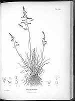  no thumbnail available