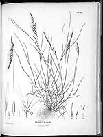  no thumbnail available