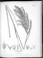  no thumbnail available