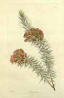  no thumbnail available