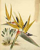  no thumbnail available