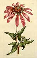  no thumbnail available