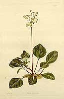  no thumbnail available