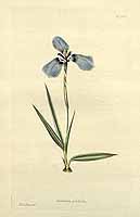  no thumbnail available