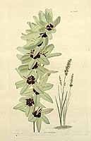  no thumbnail available