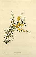  no thumbnail available