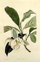  no thumbnail available