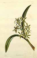  no thumbnail available