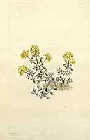  no thumbnail available