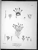  no thumbnail available