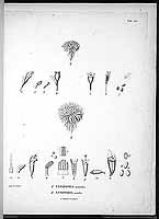  no thumbnail available