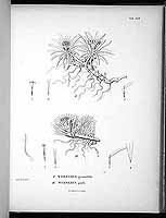  no thumbnail available