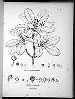  no thumbnail available