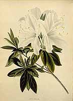  no thumbnail available