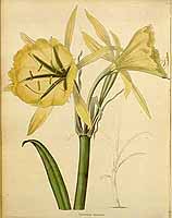  no thumbnail available