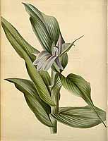  no thumbnail available