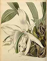  no thumbnail available