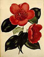  no thumbnail available