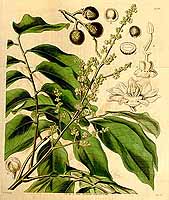  no thumbnail available