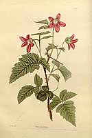  no thumbnail available