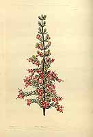  no thumbnail available