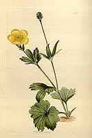  no thumbnail available