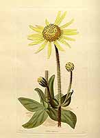  no thumbnail available