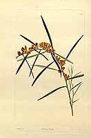  no thumbnail available