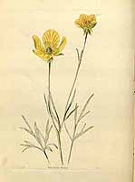  no thumbnail available