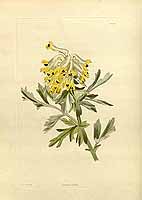  no thumbnail available