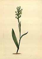  no thumbnail available